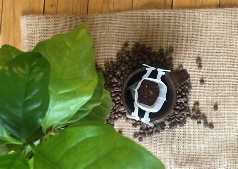 Perfect Brew Drip Coffee — Kapé Philippine Coffee.